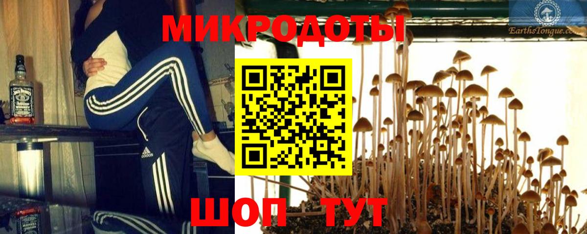 Галлюциногенные грибы прущие грибы  Вход с VPN  где можно купить наркотик  Псилоцибиновые грибы прущие грибы  Ростов Великий 
