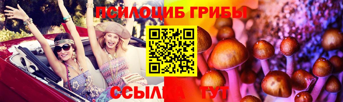 Псилоцибиновые грибы GOLDEN TEACHER Ростов Великий